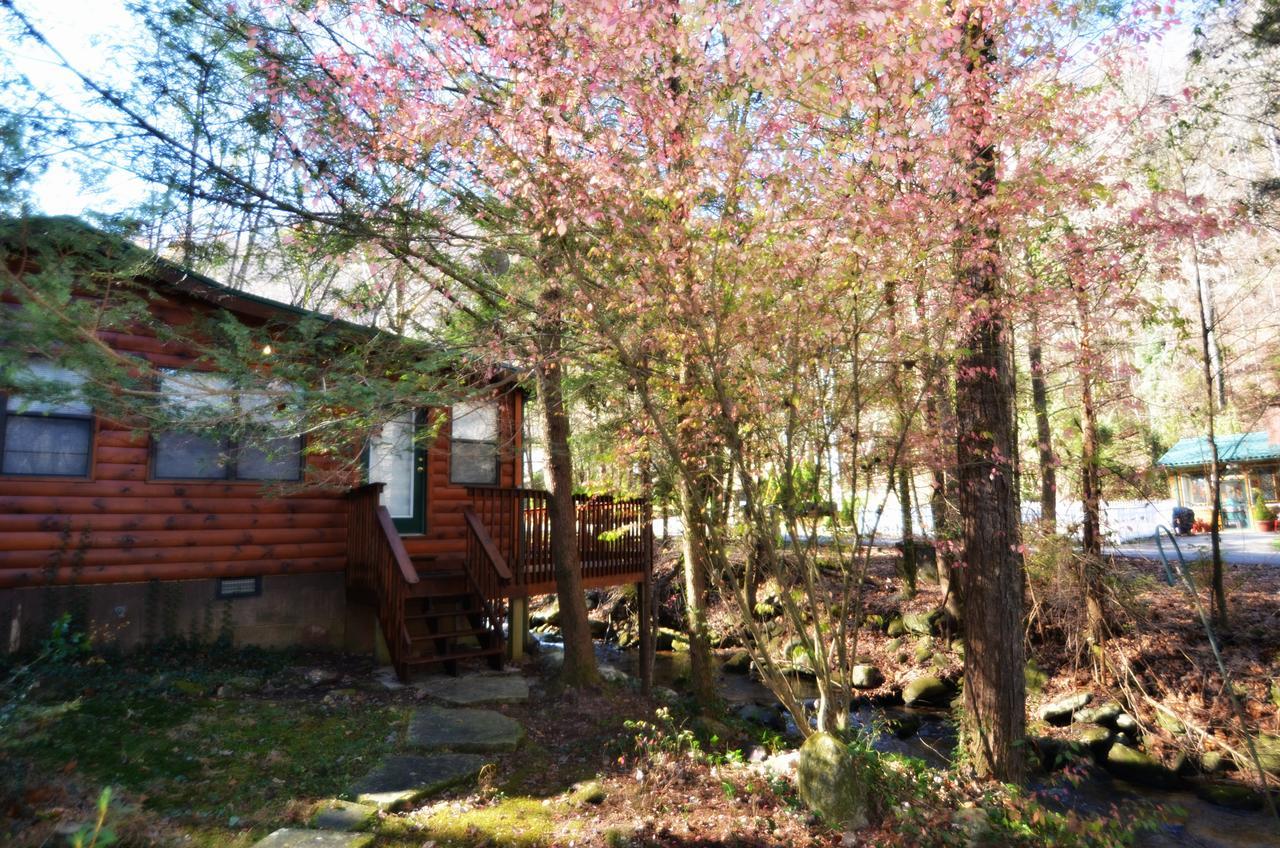 Villa Little Creek Cabin à Chalet Village Extérieur photo